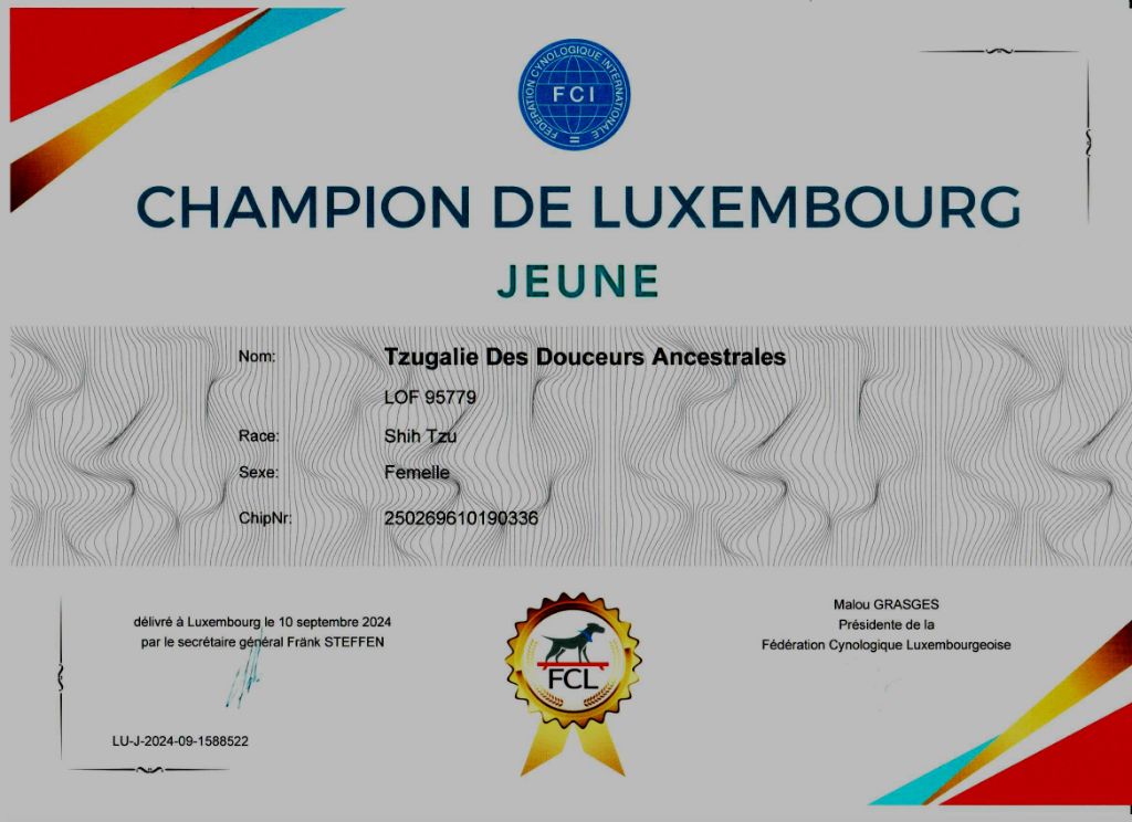 Des Douceurs Ancestrales - CHAMPIONNE DU LUXEMBOURG EN JEUNE