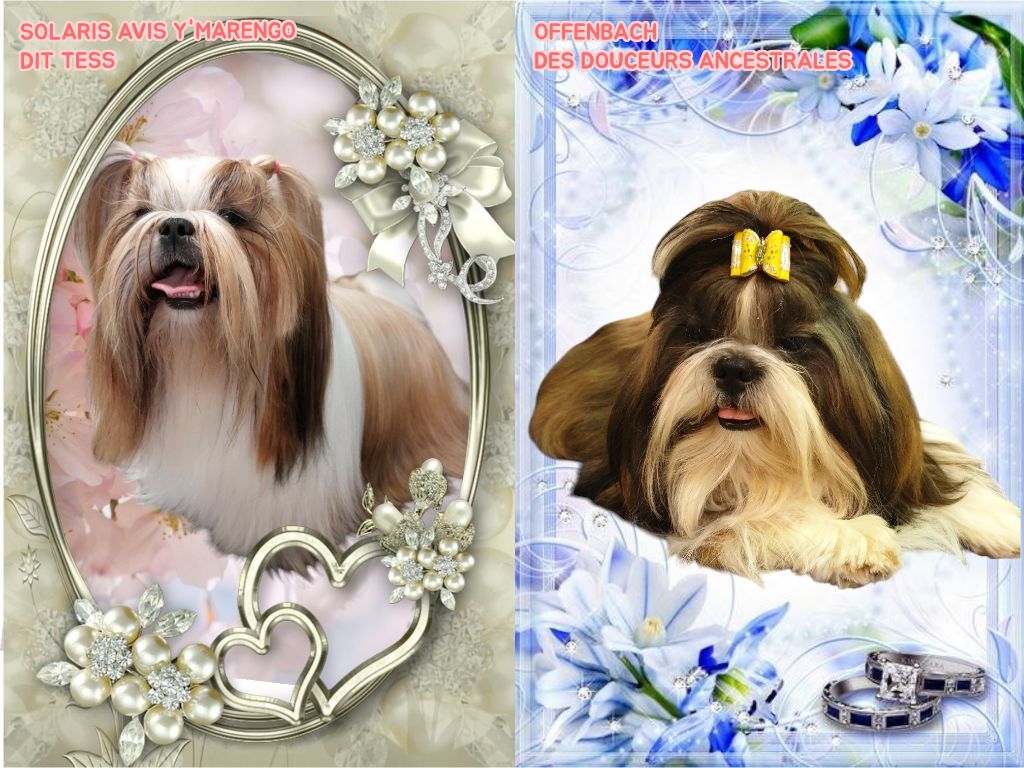 NAISSANCE AU TRESORS DE KAÏLASH