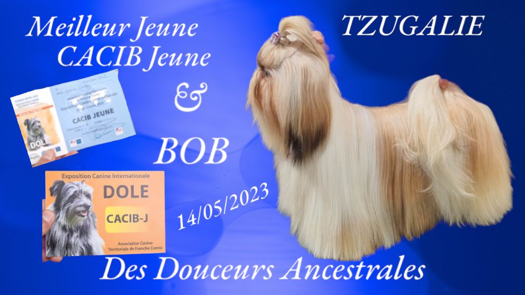 TZUGALIE DES DOUCEURS ANCESTRALES 