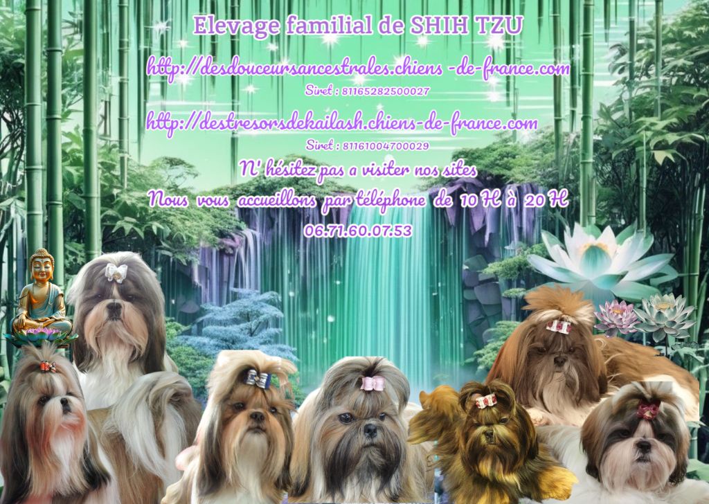 PARTENARIAT ELEVEURS LES DOUCEURS ANCESTRALES & LES TRESORS DE KAÏLASH