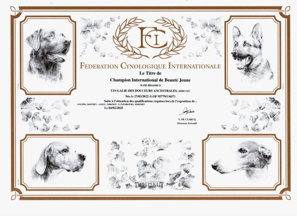Des Douceurs Ancestrales - CHAMPIONNE INTERNATIONALE DE BEAUTE JEUNE