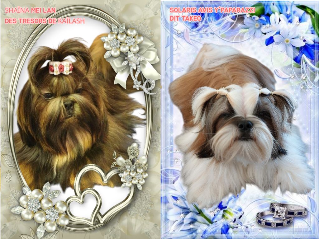 NAISSANCE AU TRESORS DE KAÏLASH